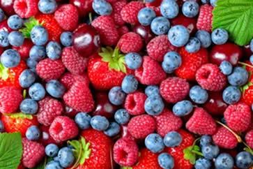 Ozônio para irrigação em culturas de frutas vermelhas. França.