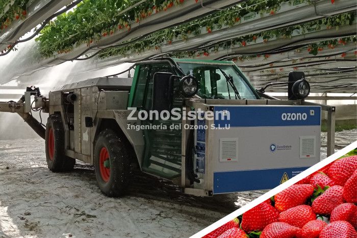 Ozone pour la culture hydroponique des fraises. Lompien, France.