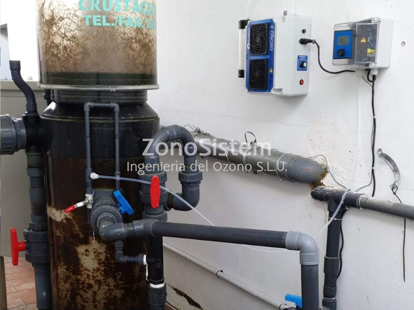 Ozono para piscifactoría de esturión, España.