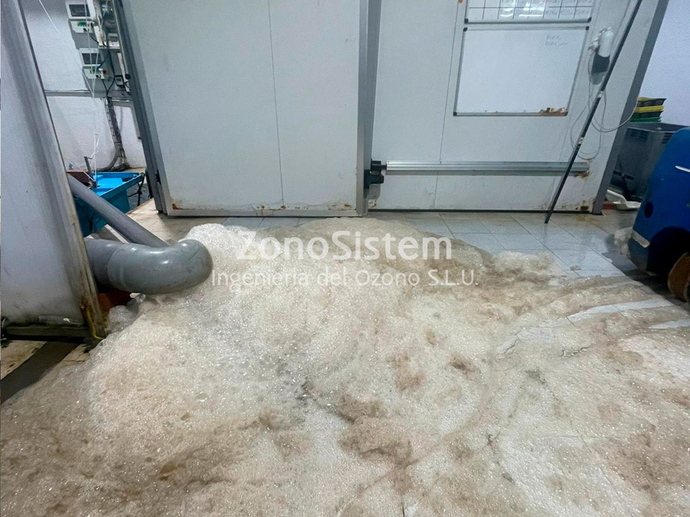 Ozone for lemon fish fish farm, Spain.