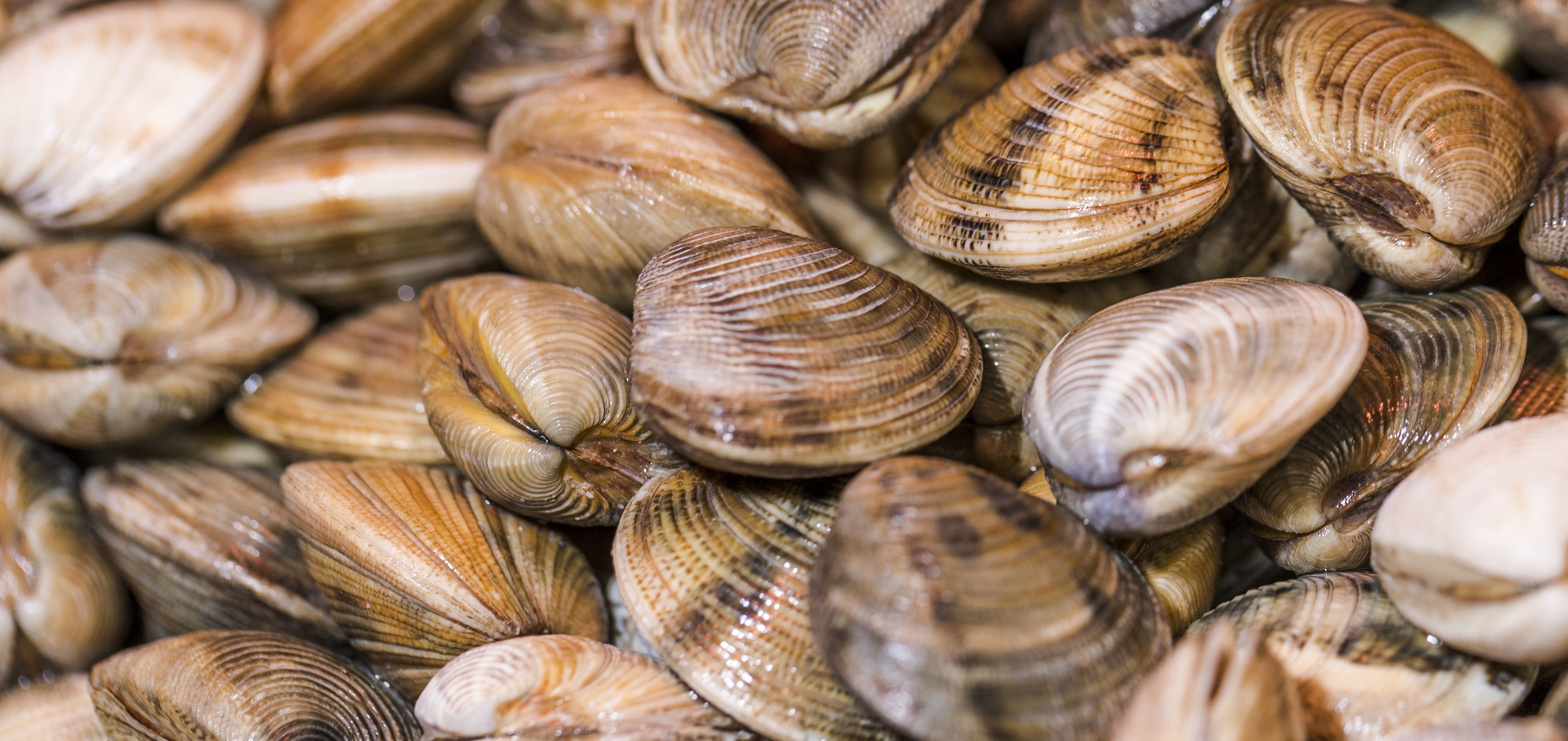 Maximum disinfection without residue