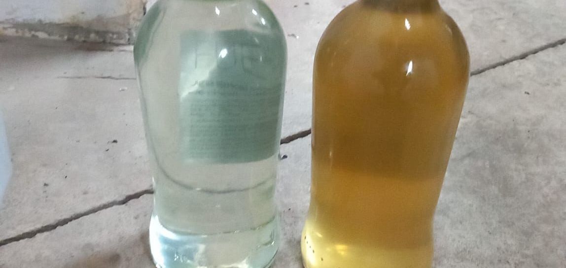 Purifies and improves water quality