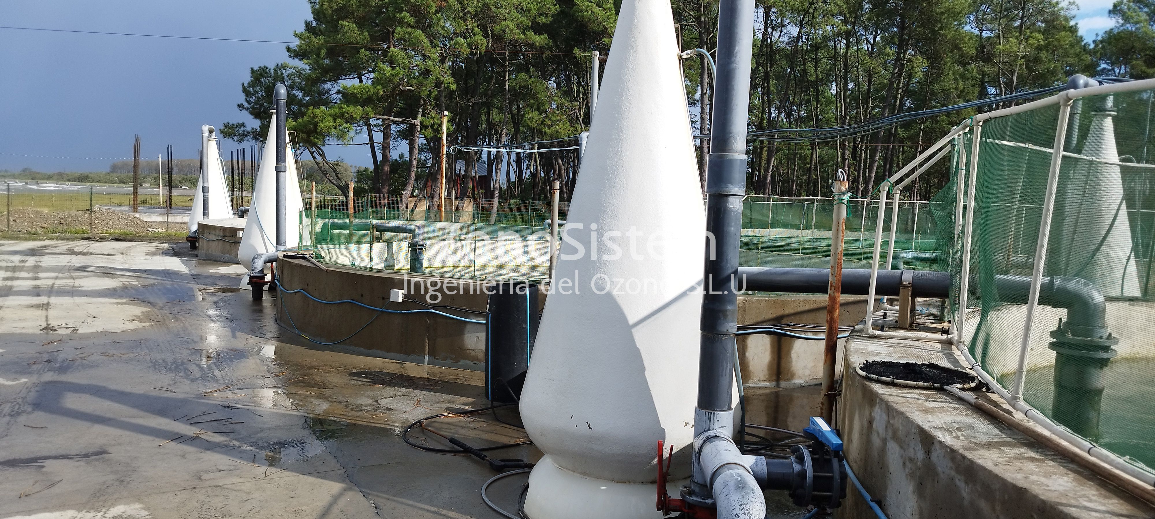 Ozone for salmon fish farms