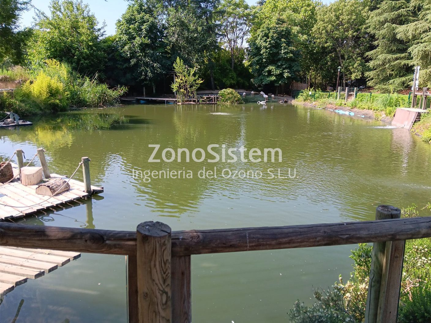 <b>Ozone generator fish farm, </b>Georgia.
