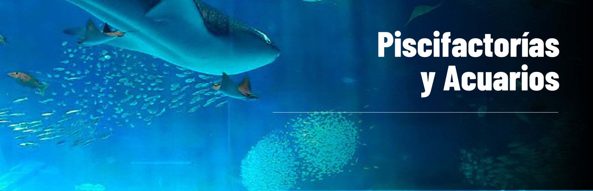 Odoo - Prueba 3 a tres columnas