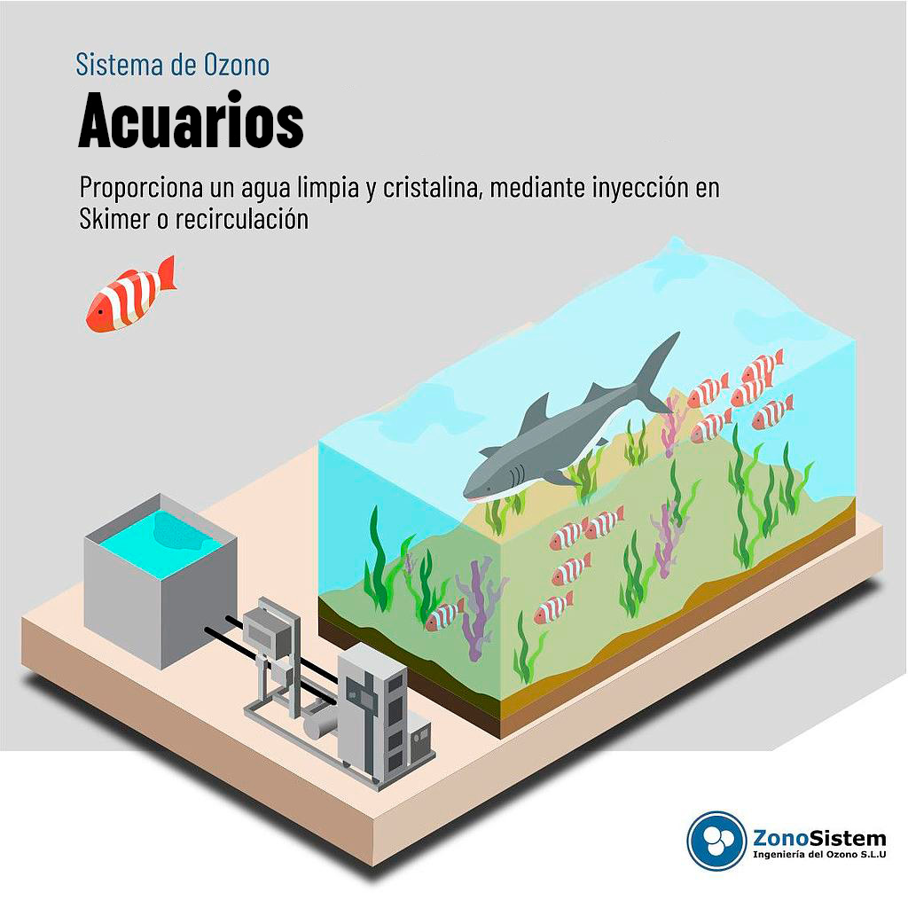 Uso de ozônio em aquários