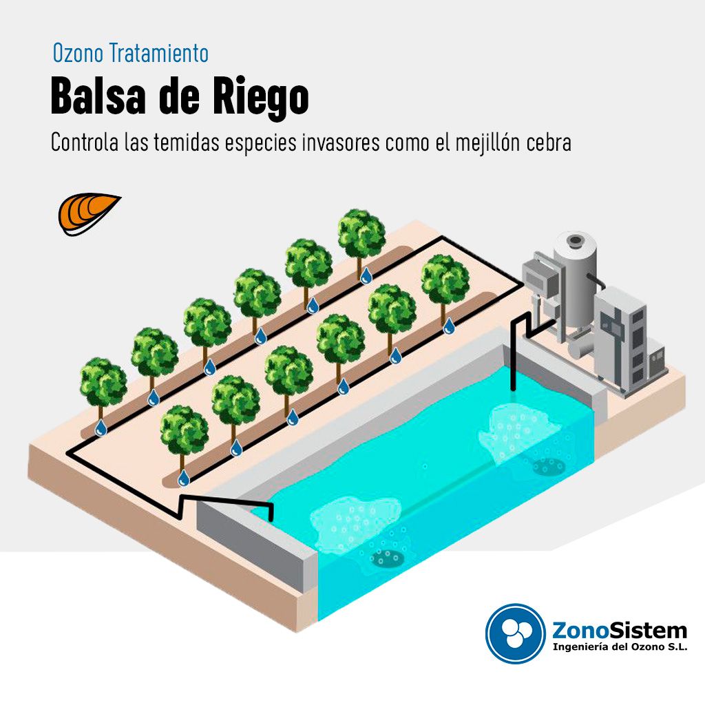 Uso dell'Ozono nei Bacini di Irrigazione