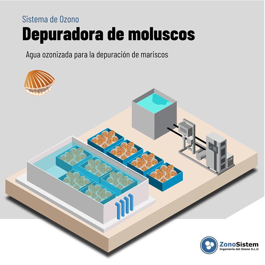 Use of Ozone in Shellfish Purification Plant
