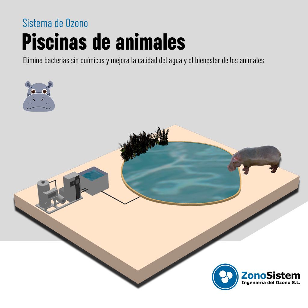 Use of ozone in animal pools